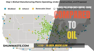 Biofuel's Environmental Impact: A Green Energy Revolution or a Polluted Illusion?