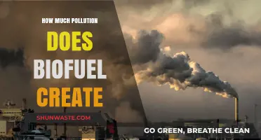 Biofuel's Pollution Paradox: How Much is Too Much?