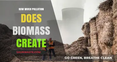 Biomass Energy: Pollution and Climate Change