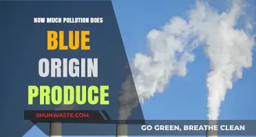 Blue Origin's Pollution Problem: How Much is Too Much?