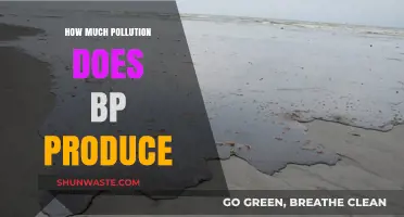 BP's Pollution: How Much Damage is Done?