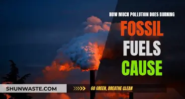 The Environmental Impact: Fossil Fuels and Their Pollution Footprint