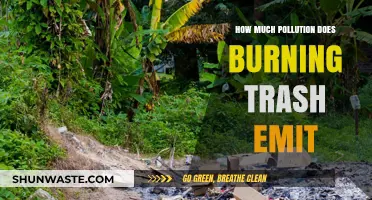 Trash Burning: A Major Source of Air Pollution
