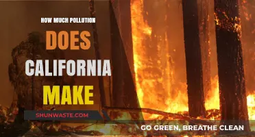 California's Pollution Problem: A State of Emergency