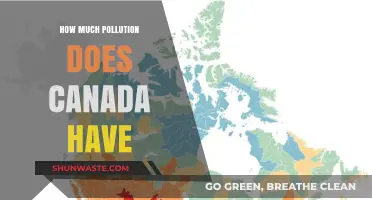 Canada's Pollution: A Comprehensive Overview of Environmental Impact