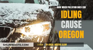 Idling Cars: Oregon's Hidden Environmental Cost