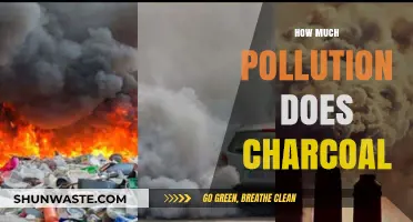 Charcoal's Pollution: A Dark Cloud Over Our Heads