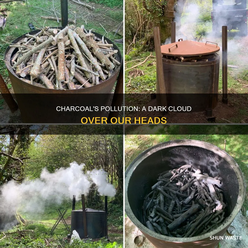 how much pollution does charcoal