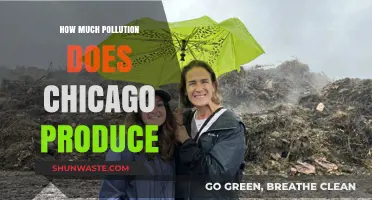 Chicago's Pollution Problem: A Comprehensive Overview