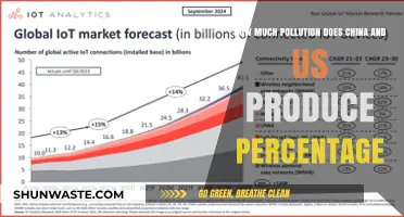 Who Pollutes More: China or the US?