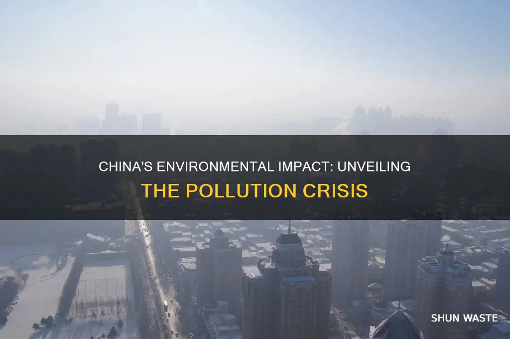 how much pollution does china cause