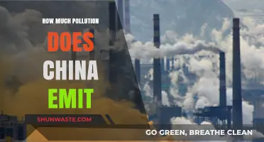 China's Pollution Emissions: A Critical Analysis