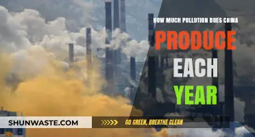 China's Annual Pollution Output: A Sobering Overview