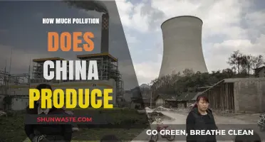 China's Pollution Problem: A Global Concern