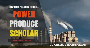 Coal Power Pollution: Environmental Impact and Solutions