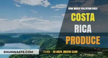 Coal Power Pollution: Environmental Impact And Solutions | ShunWaste