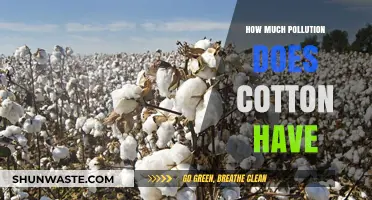 Cotton's Pollution Problem: How Much is Too Much?
