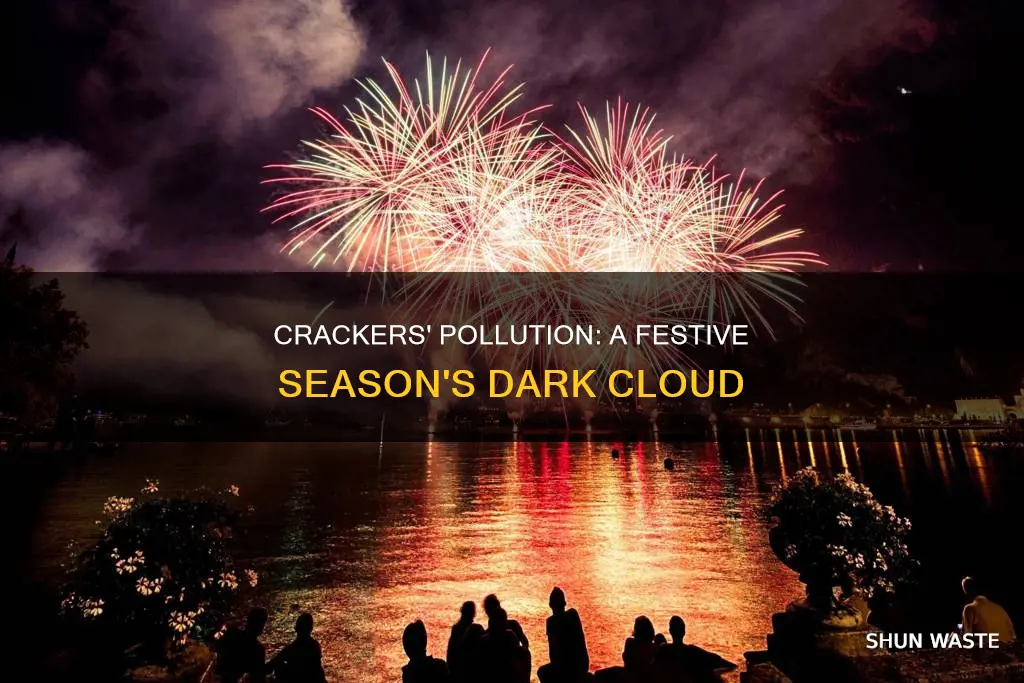 how much pollution does crackers cause