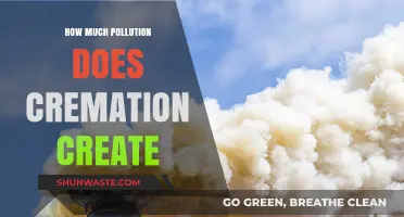 Cremation's Environmental Impact: Pollution and Funeral Alternatives