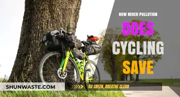 Green Commuting: Cycling's Impact on Pollution