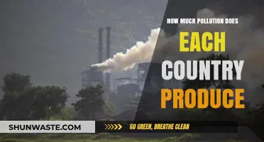 Global Pollution: Country Emissions Compared