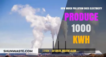 Electricity Pollution: What's the Environmental Cost of 1000 kWh?