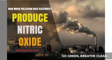 Electricity's Pollution: Nitric Oxide Emissions and Their Sources