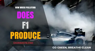 F1's Pollution Problem: How Much is Too Much?