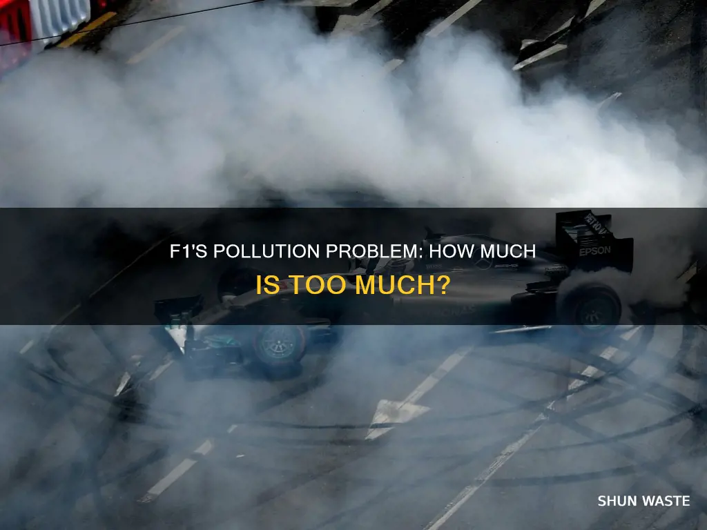 how much pollution does f1 produce