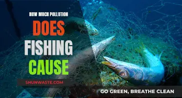 Unveiling the Environmental Impact: Fishing's Pollution Footprint