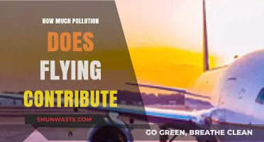 Air Travel's Pollution Problem