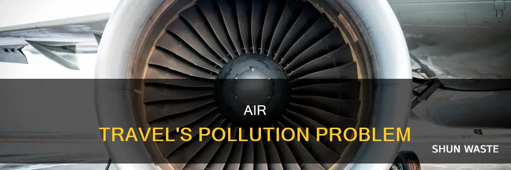 how much pollution does flying contribute