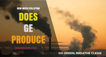 GE's Pollution: What's the Damage?