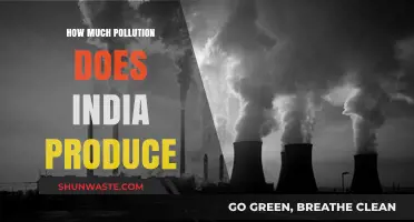 India's Pollution Problem: A Critical Analysis