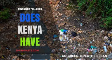 Kenya's Pollution Problem: A Comprehensive Overview
