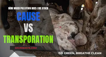 Livestock vs. Transportation: Unveiling the True Polluter