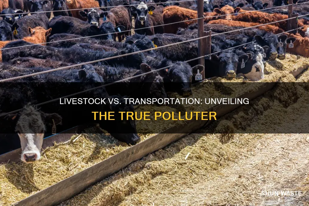 how much pollution does live stock cause vs transporation