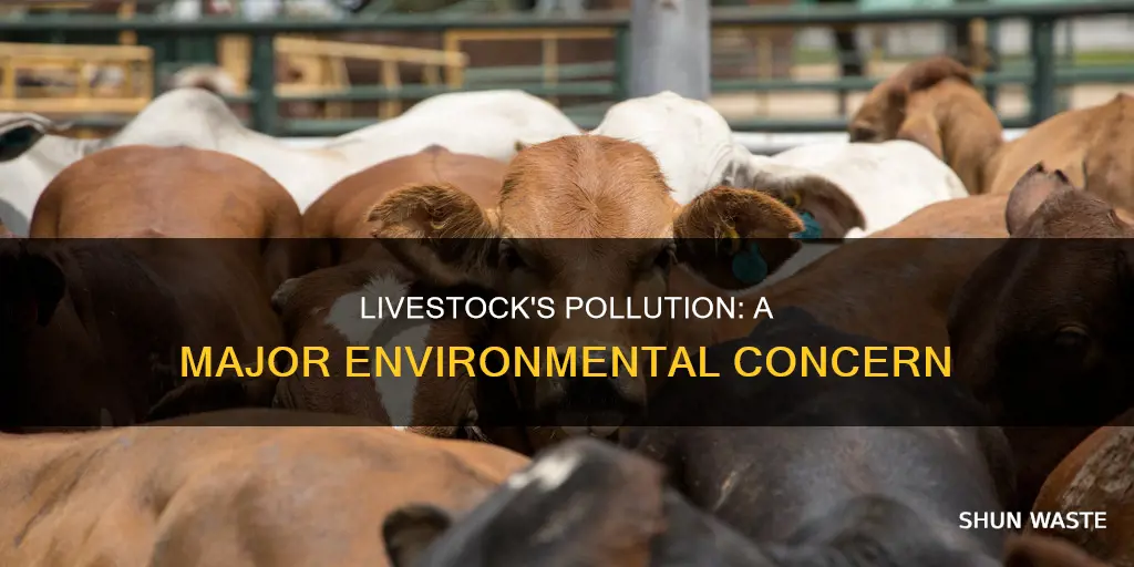 how much pollution does livestock produce