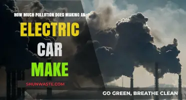 Electric Cars: Pollution Paradox?