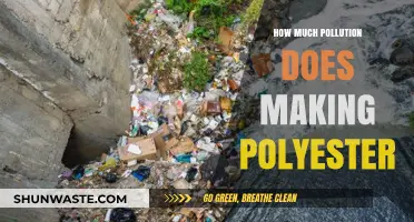 Polyester's Pollution Problem