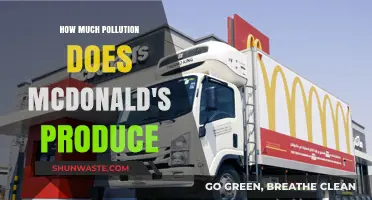 McDonald's Pollution: What's the True Cost of a Big Mac?