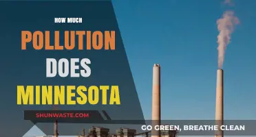 Minnesota's Pollution Problem: How Bad Is It?
