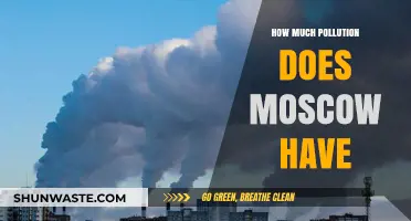 Moscow's Pollution Problem: A Critical Analysis