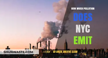NYC's Pollution Problem: Emissions and Air Quality