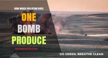 Explosive Pollution: Understanding Bombing's Environmental Impact