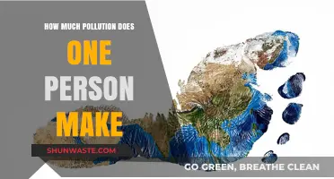 Our Impact: Pollution and the Individual