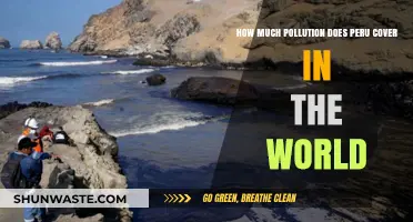 Peru's Pollution Problem: Global Impact Analysis