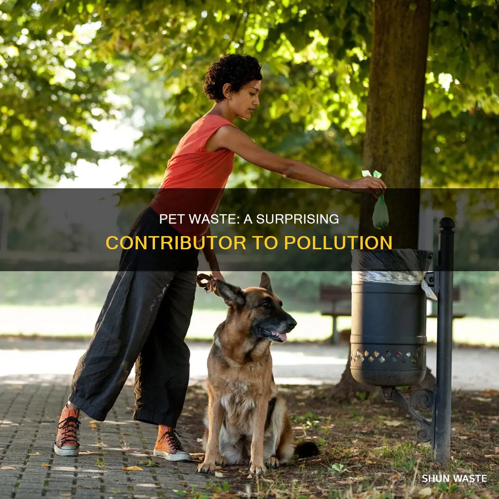 how much pollution does pet waste produce