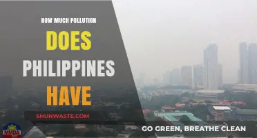 Philippines' Pollution Problem: A Comprehensive Overview