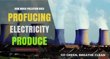Electricity Production: Pollution and its Environmental Impact